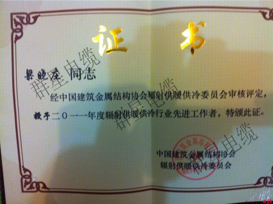 輻射供暖行業協會先進工作者