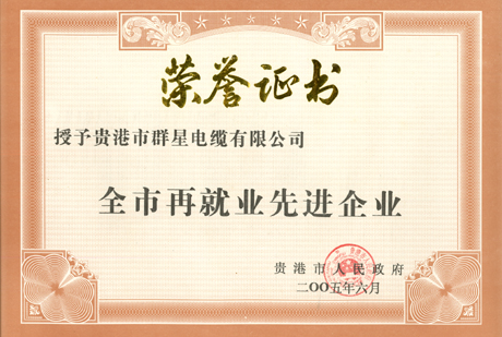 全市再就業先進企業